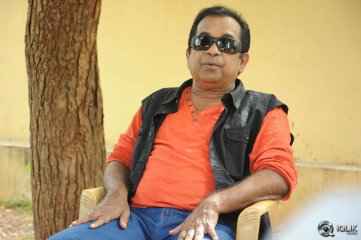 Brahmanandam About Alludu Seenu Movie